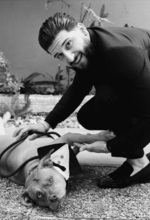 Fabio Fiorenzano Photo